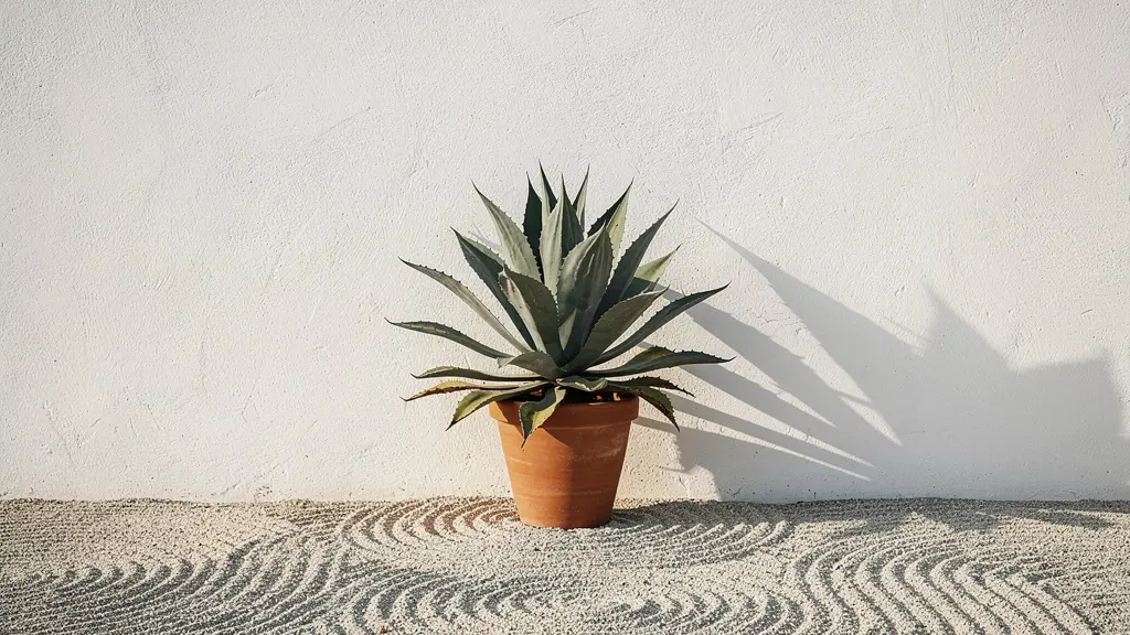 Jardín con espacios vacíos estratégicos mostrando el poder del espacio negativo en diseño exterior